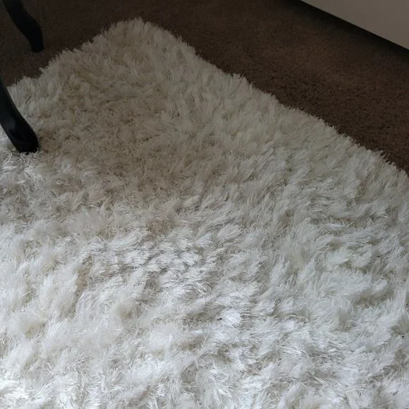 Comforter, shams, and rug - Picture 4 of 6